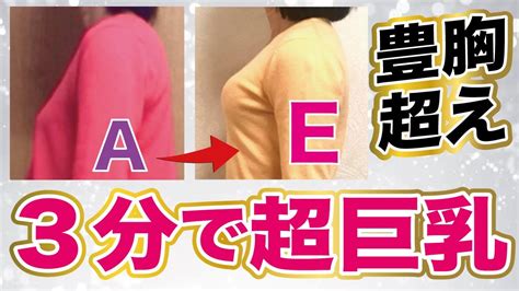 乳輪の大きさはバストの大きさで決まるってホント？。